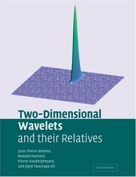 portada Two-Dimensional Wavelets and Their Relatives (en Inglés)