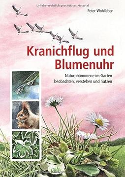 portada Kranichflug und Blumenuhr: Naturphänomene im Garten Beobachten, Verstehen und Nutzen (en Alemán)