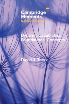 Dynamic Capabilities. Foundational Concepts (en Inglés)