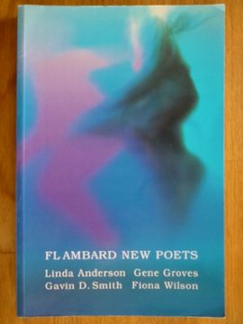 portada Flambard new Poets 2 (en Inglés)