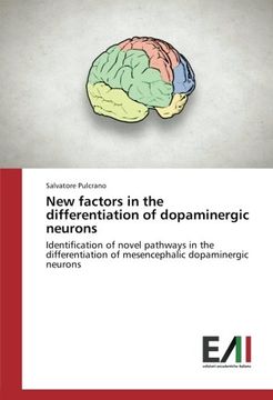 portada New factors in the differentiation of dopaminergic neurons: Identification of novel pathways in the differentiation of mesencephalic dopaminergic neurons