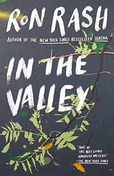 portada In the Valley: Stories and a Novella Based on Serena (en Inglés)