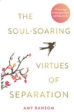 portada The Soul-Soaring Virtues of Separation: 111 Learnings to Heal Your Heart and Help you fly (en Inglés)
