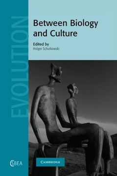 portada Between Biology and Culture Paperback (Cambridge Studies in Biological and Evolutionary Anthropology) (en Inglés)