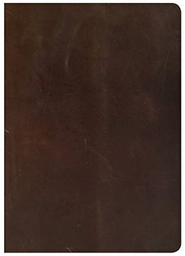 portada CSB She Reads Truth Bible, Brown Genuine Leather, Indexed (en Inglés)
