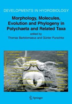 portada morphology, molecules, evolution and phylogeny in polychaeta and related taxa