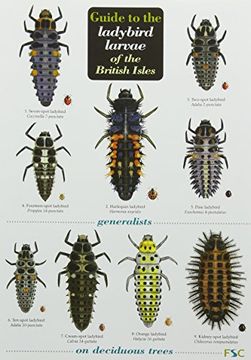 portada Guide to the Ladybird Larvae of the British Isles