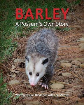 portada Barley, a Possum'S own Story (en Inglés)