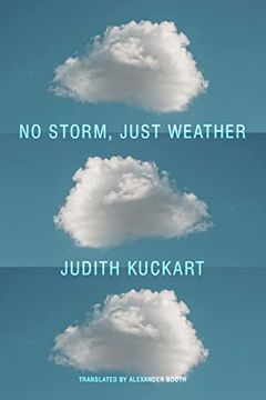 portada No Storm, Just Weather (en Inglés)