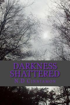 portada Darkness Shattered
