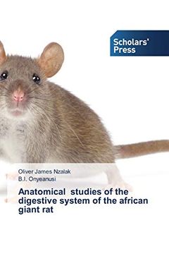 portada Anatomical Studies of the Digestive System of the African Giant rat (in English)