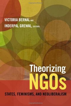portada Theorizing Ngos: States, Feminisms, And Neoliberalism (next Wave: New Directions In Women s Studies) (in English)