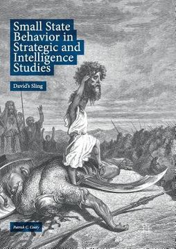 portada Small State Behavior in Strategic and Intelligence Studies: David's Sling 