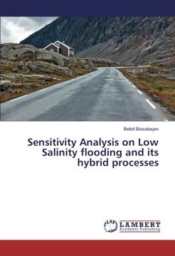 portada Sensitivity Analysis on Low Salinity flooding and its hybrid processes