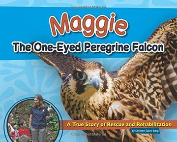portada Maggie the One-Eyed Peregrine Falcon: A True Story of Rescue and Rehabilitation (Wildlife Rescue Stories) (en Inglés)
