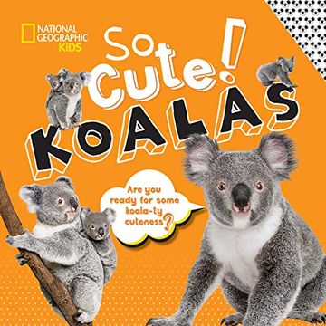 portada So Cute! Koalas (Cool 