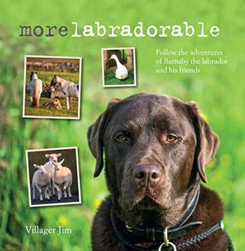 portada Morelabradorable: Follow the Adventures of Barnaby the Labrador and His Friends (en Inglés)