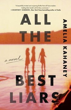 portada All the Best Liars: A Novel (in English)