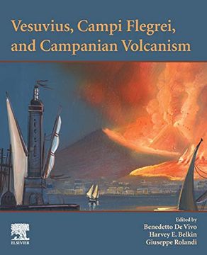 portada Vesuvius, Campi Flegrei, and Campanian Volcanism (en Inglés)