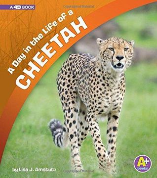 portada A Day In The Life Of A Cheetah: A 4d Book (en Inglés)