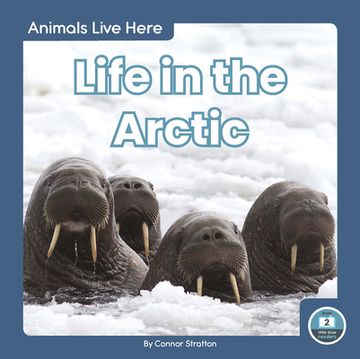 portada Life in the Arctic (Animals Live Here, Little Blue Readers, Level 2) (en Inglés)