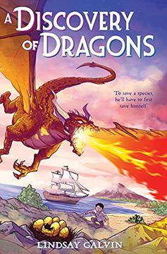 portada A Discovery of Dragons (en Inglés)