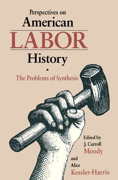 portada perspectives on american labor history: the problems of synthesis (en Inglés)