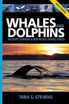 portada Whales and Dolphins Field Guide: Atlantic Canada and Northeast United States