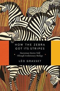 portada How The Zebra Got Its Stripes: Darwinian Stories Told Through Evolutionary Biology (en Inglés)