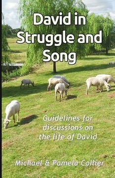 portada David in Struggle and Song: Guidelines for discussions on the life of David (black & white version) (en Inglés)