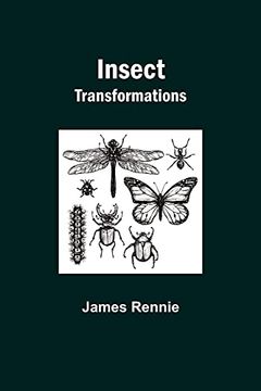portada Insect Transformations (en Inglés)