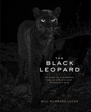 portada The Black Leopard: My Quest to Photograph one of Africa’S Most Elusive big Cats