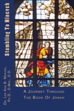 portada Stumbling To Nineveh: A Journey Through The Book Of Jonah (Journey Through The Scriptures)