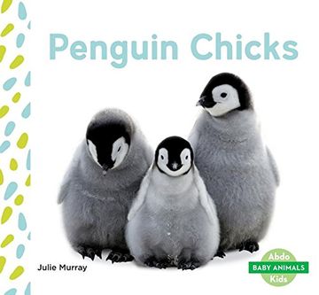 portada Penguin Chicks (Baby Animals)