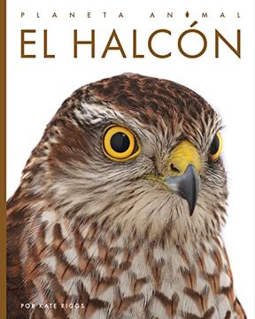 portada El Halcón (Planeta Animal) (en Inglés)