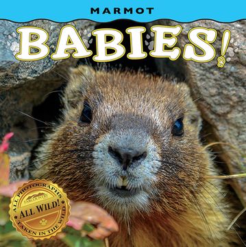 portada Marmot Babies! (en Inglés)