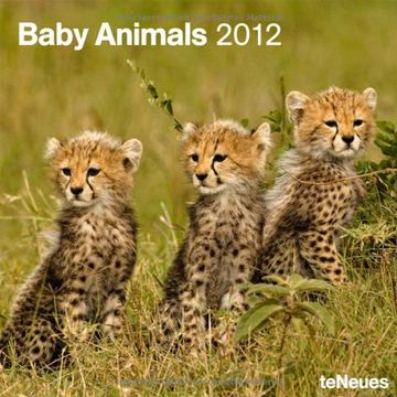 portada baby animals 2012 calendar