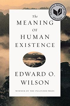 portada The Meaning of Human Existence