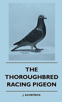 portada the thoroughbred racing pigeon (in English)