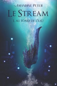portada Le Stream: tome 1 (en Francés)