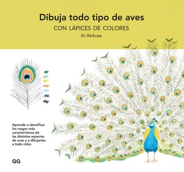 portada Dibuja Todo Tipo de Aves con Lapices de Colores
