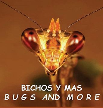 portada Bichos y Mas: Bugs and More