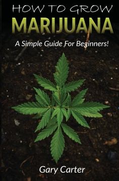portada How to Grow Marijuana: A Simple Guide for Beginners