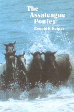portada the assateague ponies (in English)