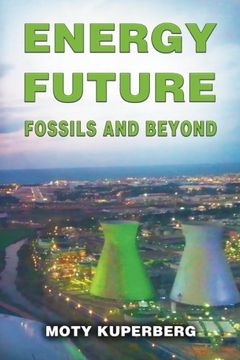 portada Energy Future: Fossils and Beyond (en Inglés)