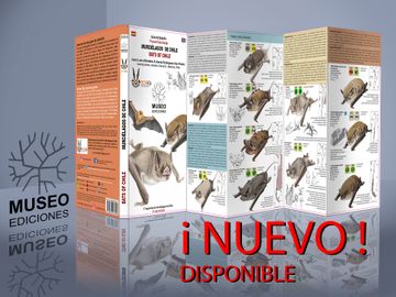 portada Murciélagos de Chile (in Spanish)