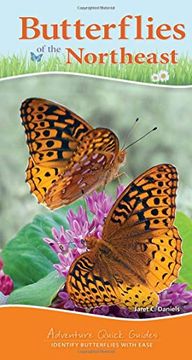 portada Butterflies of the Northeast (Adventure Quick Guides) (in English)