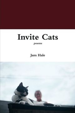 portada Invite Cats