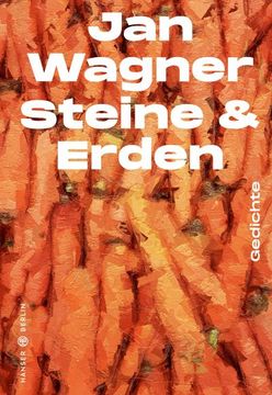 portada Steine & Erden (en Alemán)