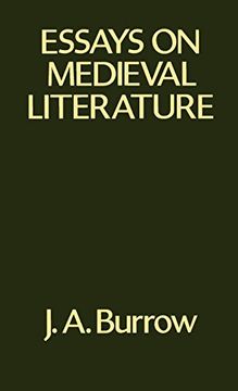portada Essays on Medieval Literature 